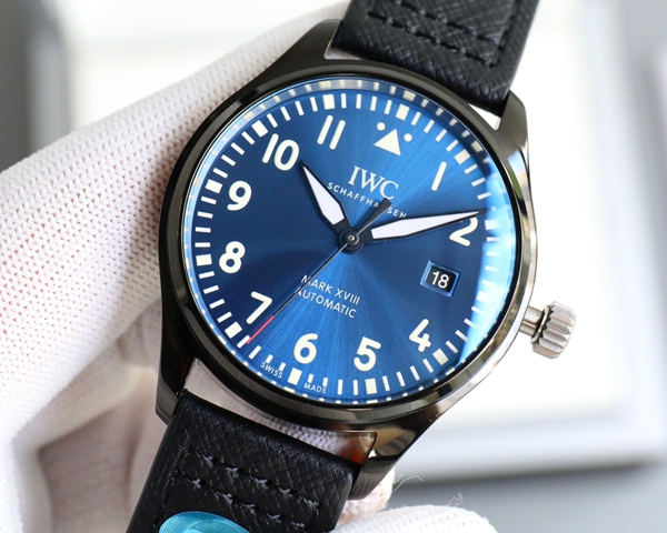 アイ・ダブリュー・シー内部構造